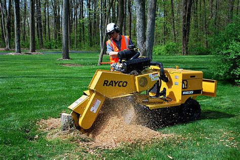 tree stump removal equipment rental